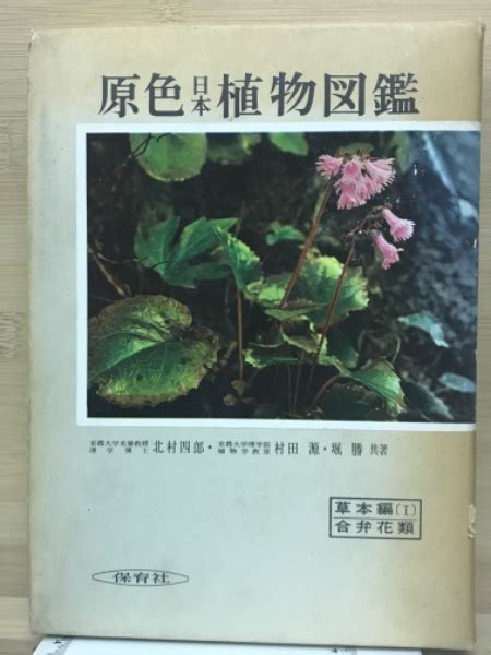 草類植物|植物図鑑